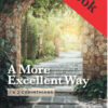 images A More Excellent Way: 1 & 2 Corinthians