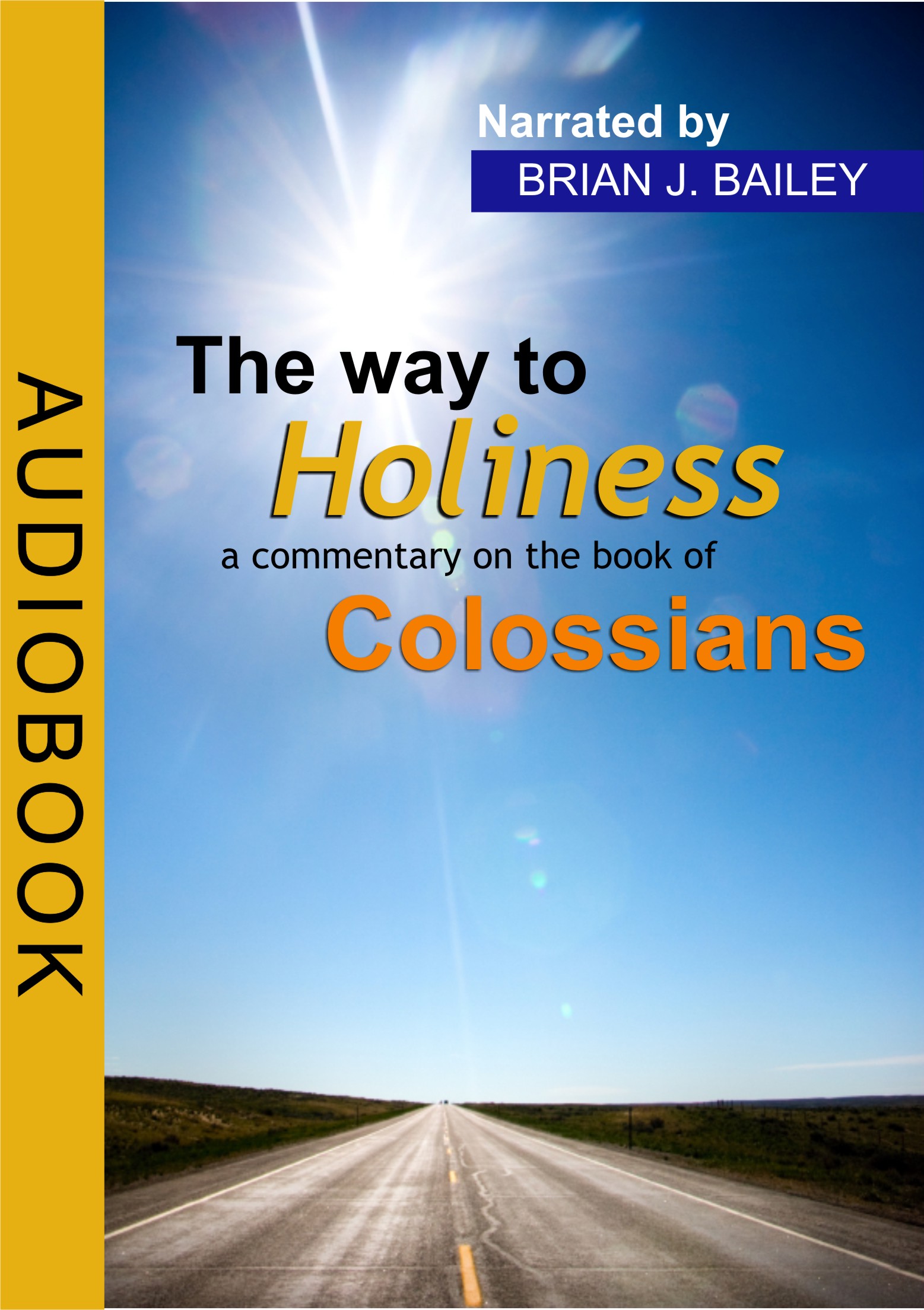 Way to Holiness - Commentary on Colossians - AUDIO BOOK