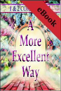 images A More Excellent Way: 1 & 2 Corinthians