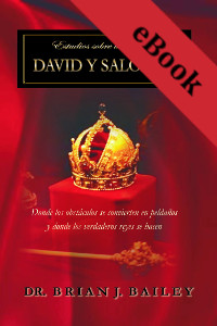 Estudios sobre las vidas de David y Salomón