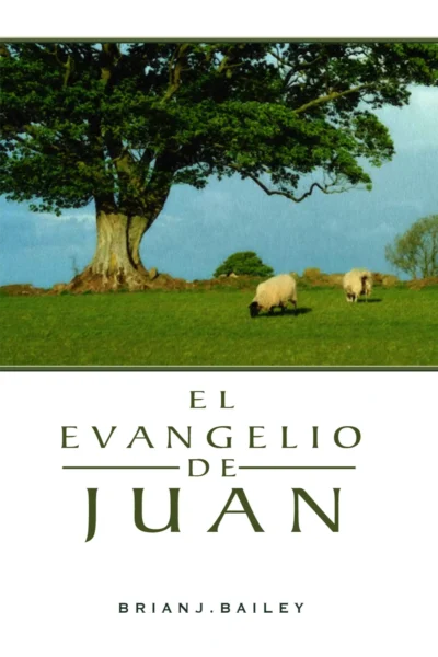 El evangelio de Juan