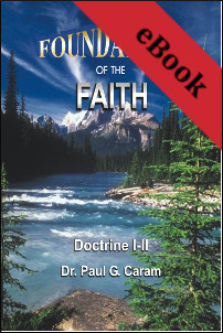images Foundations of the Faith - Perfect Bound