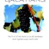 Ebook Bundle - New Testament 3: Epistles of Paul