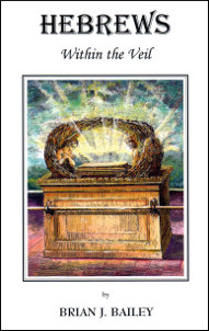Within the Veil, An Exposition of the Book of Hebrews - DVD