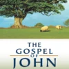JohnDVDcover copy The Gospel of John - DVD