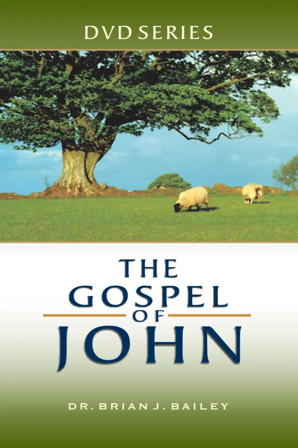 JohnDVDcover copy The Gospel of John - DVD