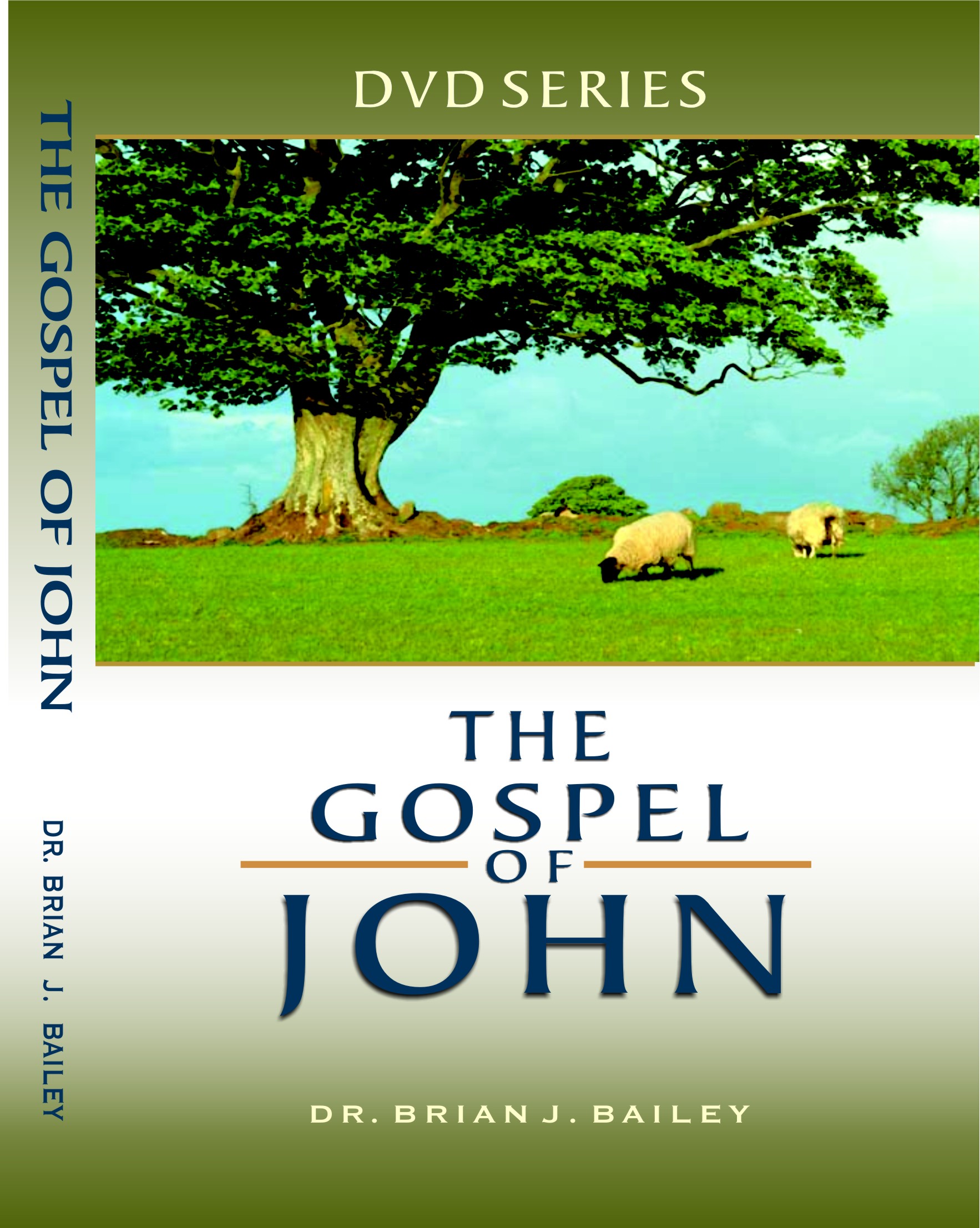 images The Gospel of John - DVD