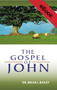 images The Gospel of John