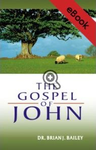 images New Testament Gospels Ebook Bundle