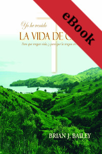 La vida de Cristo