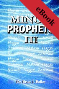 Minor Prophets III: Haggai to Malachi