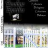 Pauline Epistles - DVD