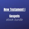 NT1 Gospels Ebook Bundle - New Testament 1: Gospels